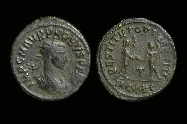 New-Probus