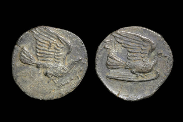 Chimaera-&-Dove-...-A-Wee-Bit-Worn,-But-A-Whole-Lotta-Wow!!