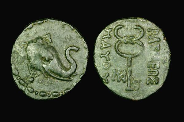 Elephant-Coin-=>-Bactrian-Kings,-Demetrius-I-...-*sweet*