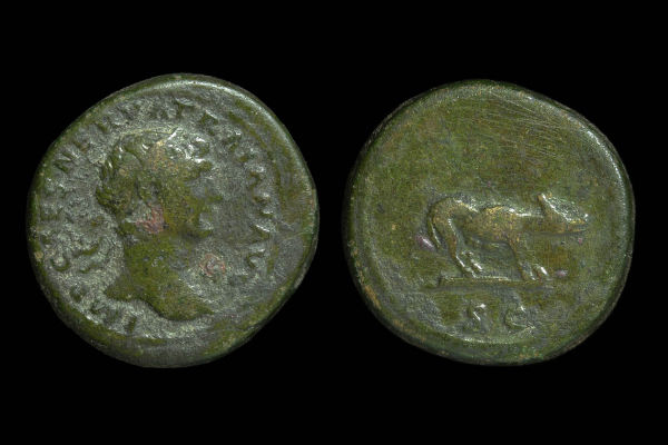 Coin-Show-Report---Few-Ancients-But-Interesting