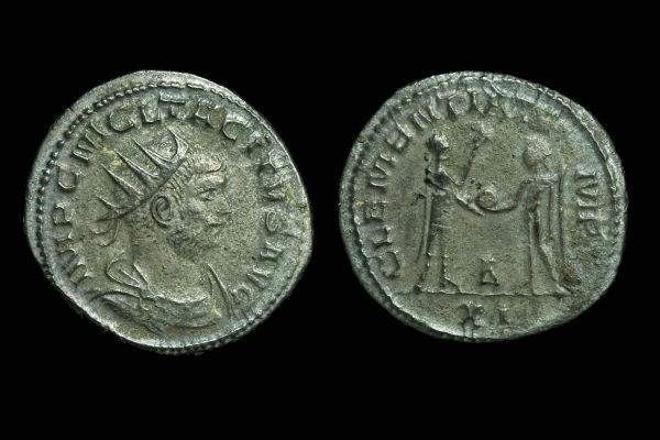Coin-Show-Report---20-Ancients-From-Three-Dealers