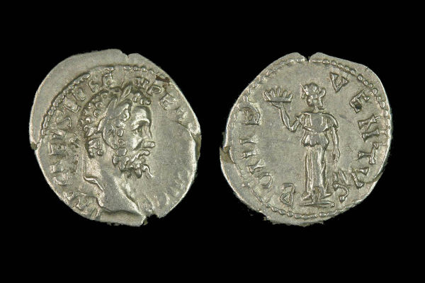 A-Busy-Severan-Obverse-Die