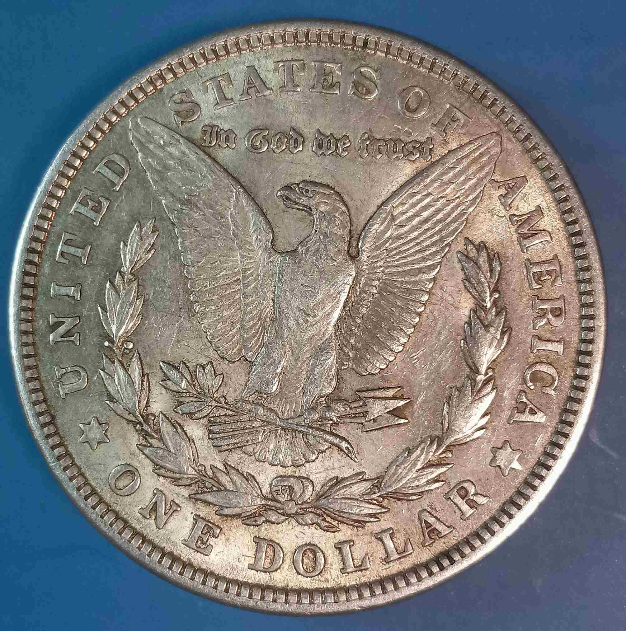 1921-Morgan-Dollar-For-Grading-Opinions.