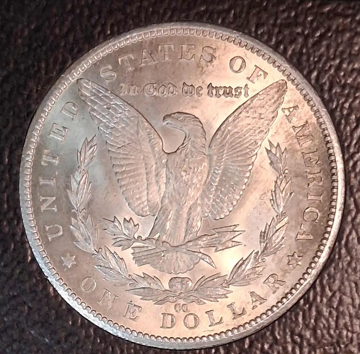 1884-CC-Morgan-Dollar-For-Grading-Opinions