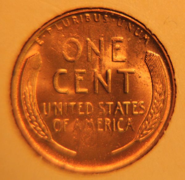Several-Wheat-Cents-From-Album