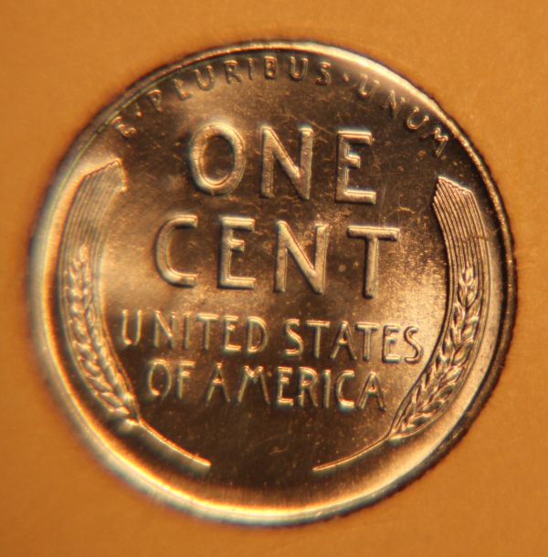 Several-Wheat-Cents-From-Album