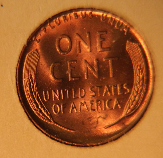 Several-Wheat-Cents-From-Album