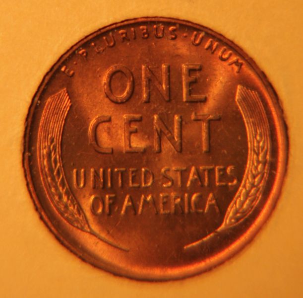 Several-Wheat-Cents-From-Album