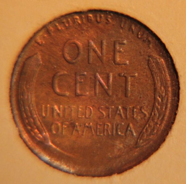 Several-Wheat-Cents-From-Album
