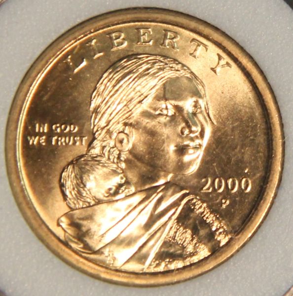 Sac-Dollar---Vertical-Ray-Through-Eye