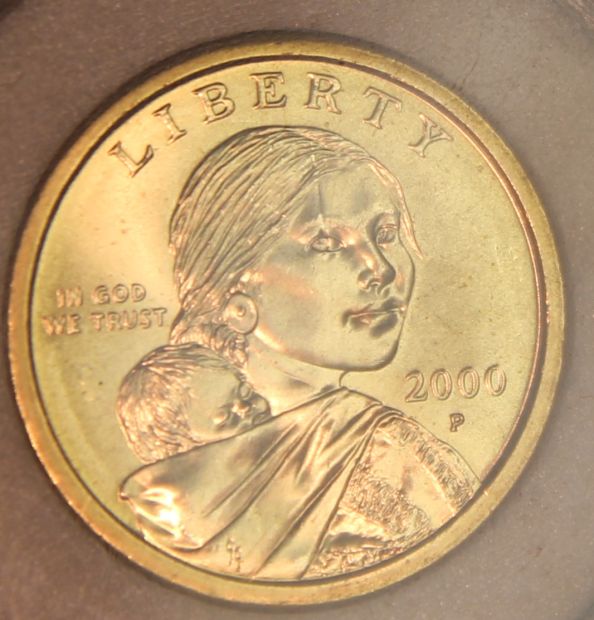 Sac-Dollar---Vertical-Ray-Through-Eye
