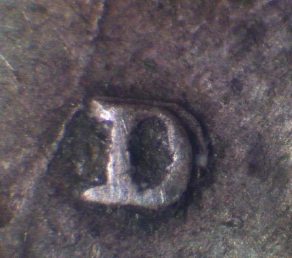 1919-D-WLH-Die-Break-And-Possible-RPM