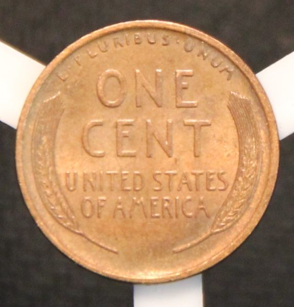 1909-LWC
