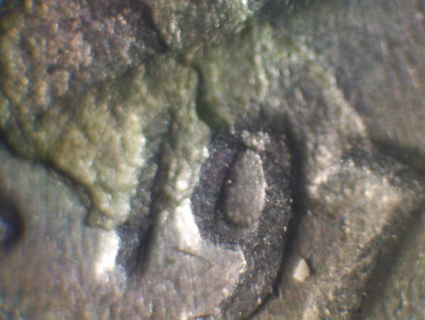1975-Roos-Dime-Defective-Planchet-Or-Lamination-Peel?