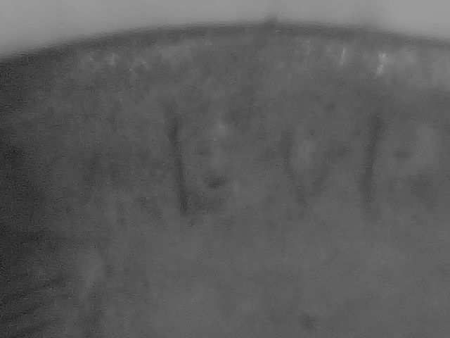 Two-Coins-For-You-To-Appraise.