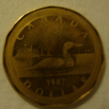 A-Loonie-Cut-Off,-Mint-Error,-Or-?