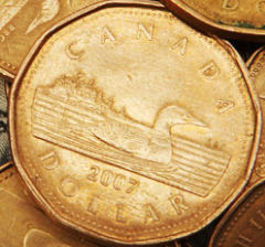 A-Loonie-Cut-Off,-Mint-Error,-Or-?