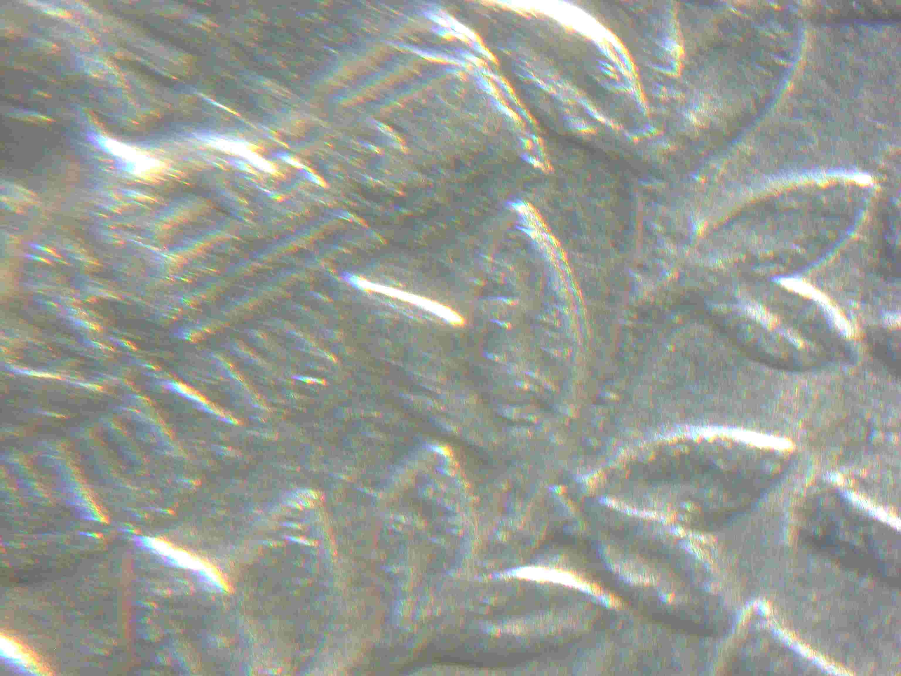 1994-P-Doubling-In-The-Eagle-And-Branches