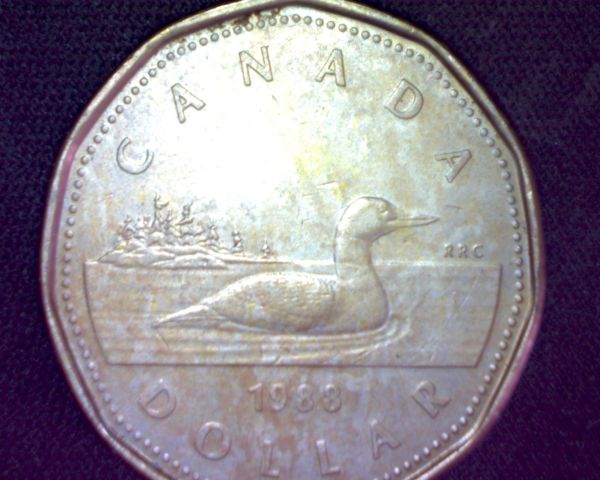 1988-Loonie