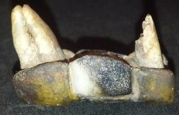 My-Strangest-Find
