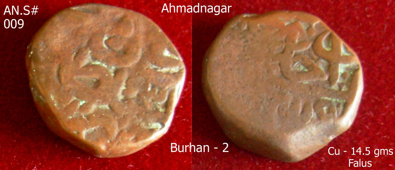 Coins-Of-India---Gulbarga-Bahmani-Sultanate-Coins