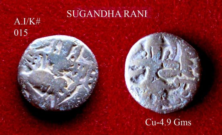 Coins-Of-India---Kashmir---Coins-Of-Hindu-Kings