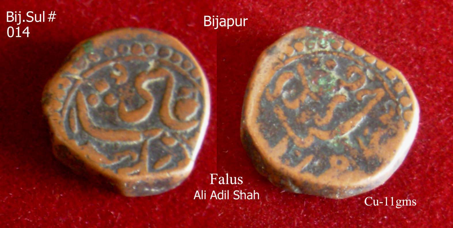 Coins-Of-India---Gulbarga-Bahmani-Sultanate-Coins