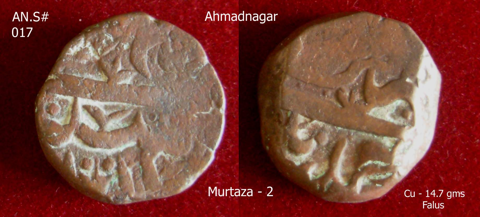 Coins-Of-India---Gulbarga-Bahmani-Sultanate-Coins