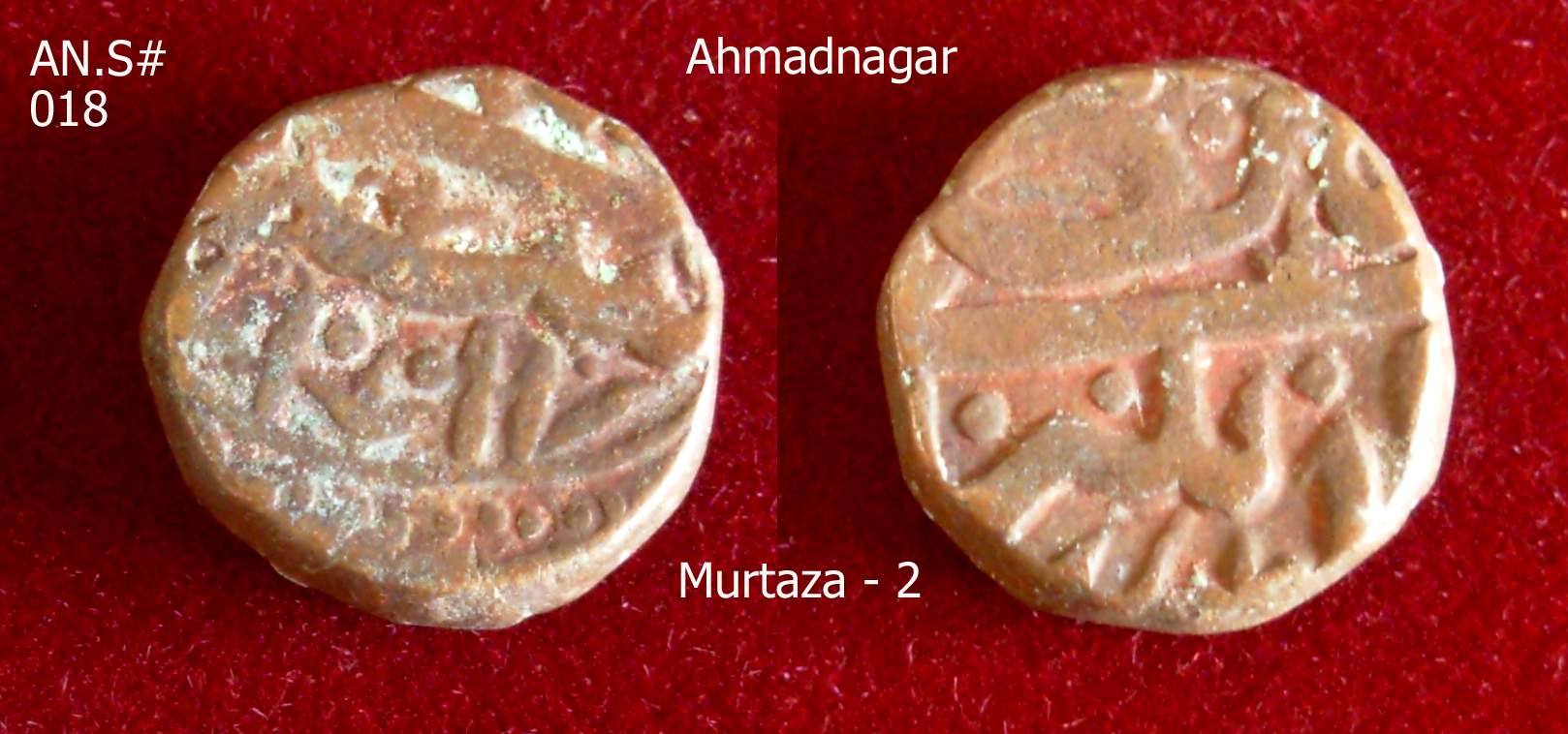 Coins-Of-India---Gulbarga-Bahmani-Sultanate-Coins