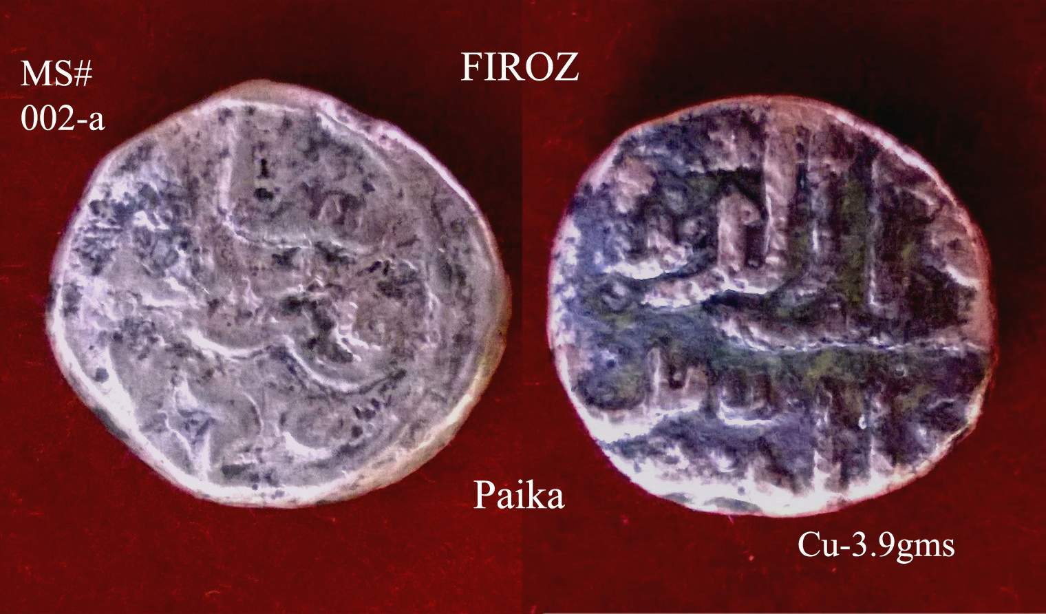 Coins-Of-India---Madurai-Sultanate-Coins