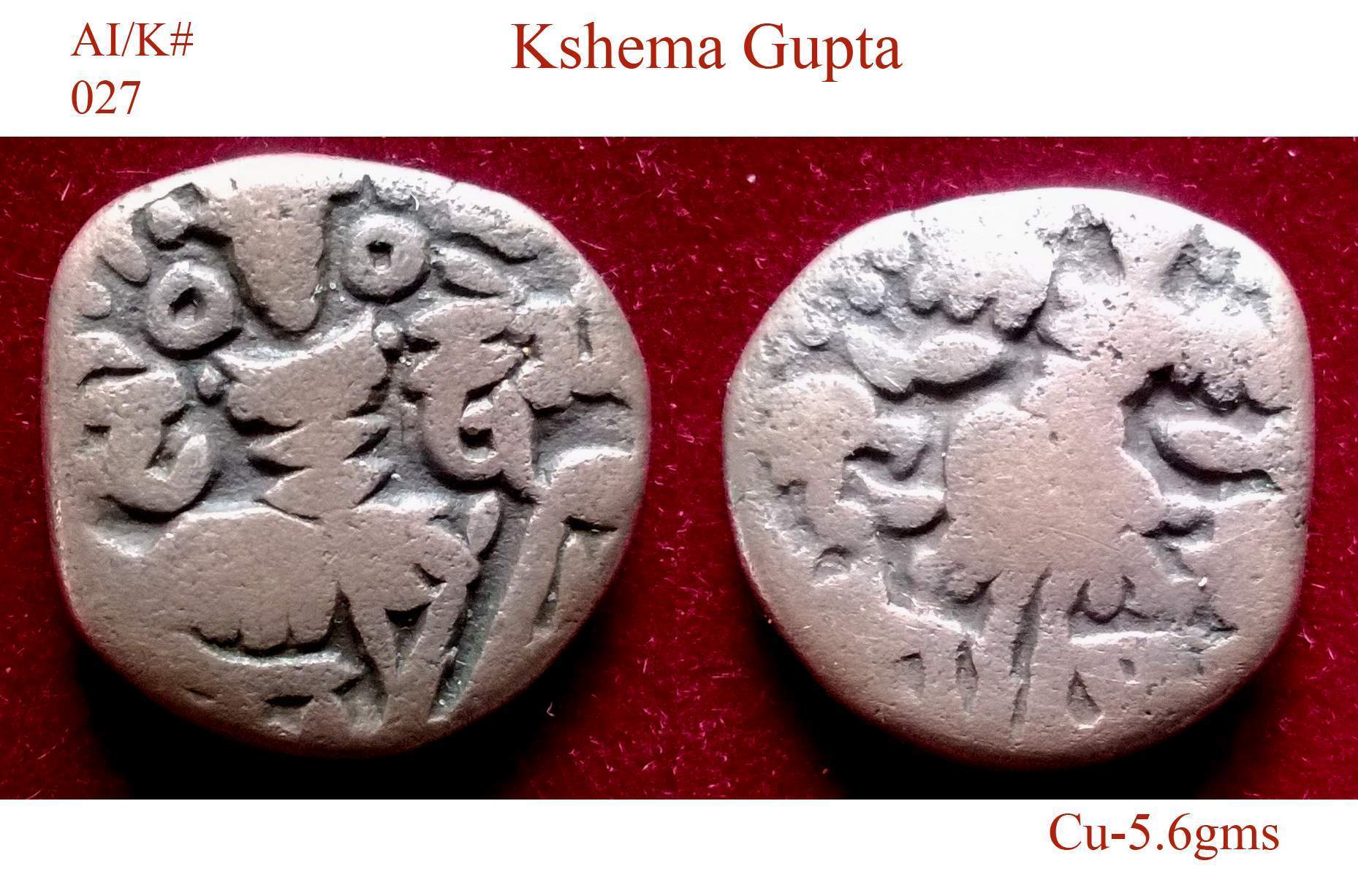 Coins-Of-India---Kashmir---Coins-Of-Hindu-Kings