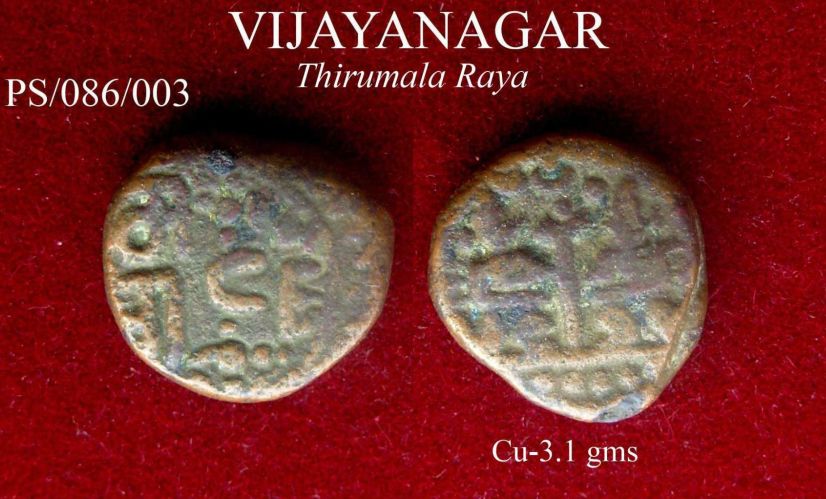 Coins-Of-India---Indian-Princely-States