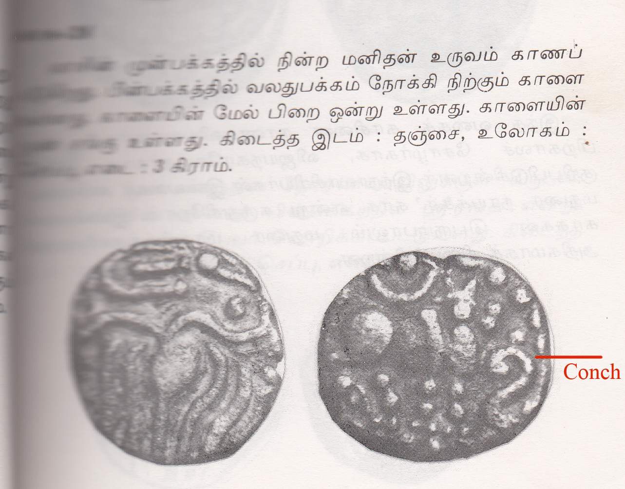 Coins-Of-India---Indian-Princely-States