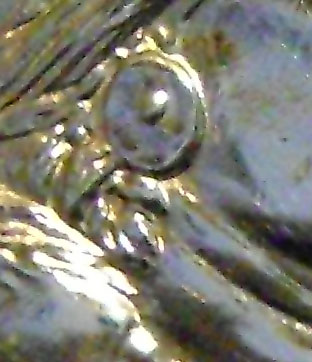2000-P-Sacagawea