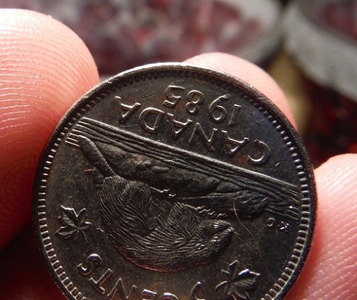 Five-Cents-Error/Variety?