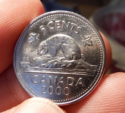 Pair-Of-Nickels-2000-And-1999