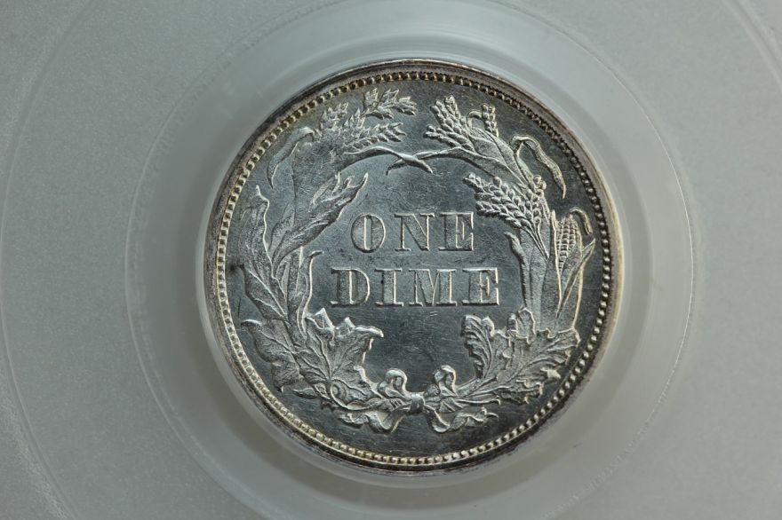 You-Vs-PCGS-1862-Lsd---Grade-Reveal