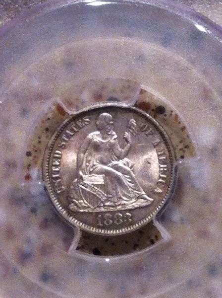 You-Vs-PCGS-1883-Lsd