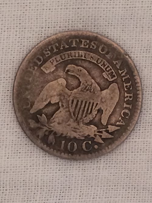 A-Nice-Series-Of-Raw-Capped-Bust-Dimes-Revisited