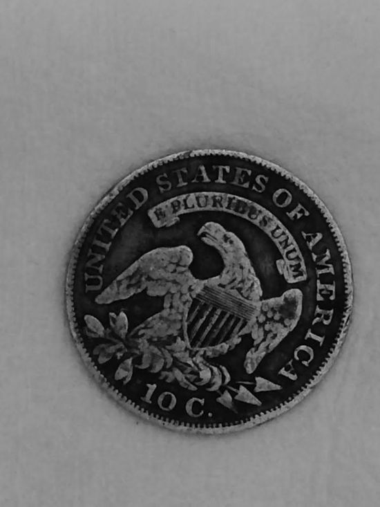 Serious-Expert-Help-Needed---1829-Capped-10c