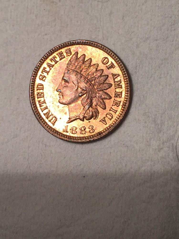 Interested-To-Know-If-This-Looks-Cleaned?
