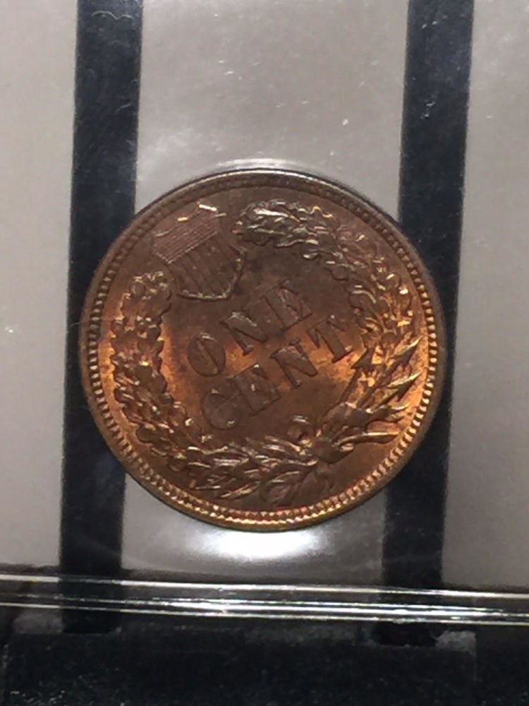 Interested-To-Know-If-This-Looks-Cleaned?