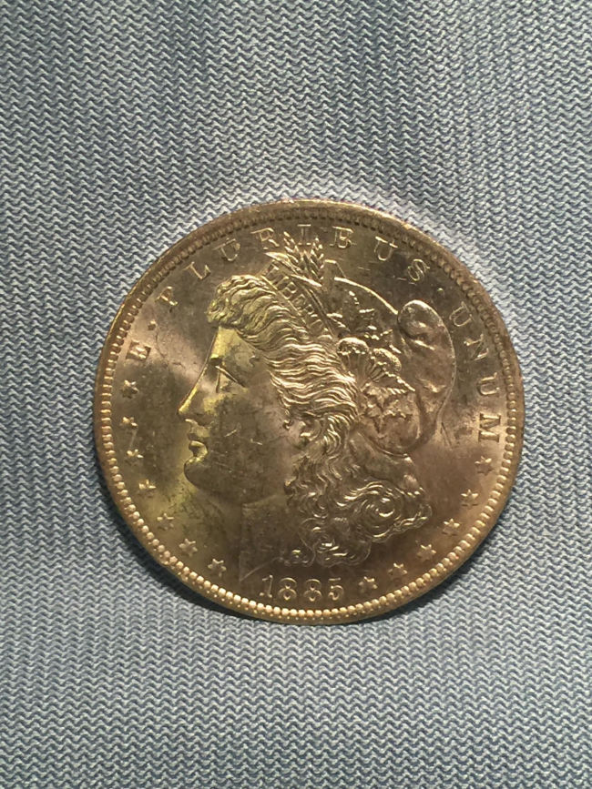 1885-O-Morgan---Grade-And-VAM-Help-Please