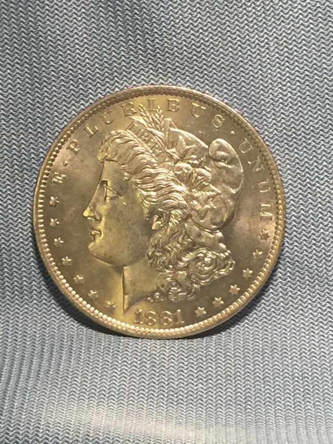 1881-O-Morgan---Grade-And-VAM-Help-Please