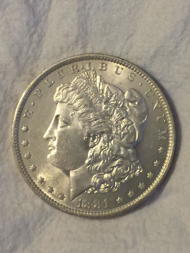 1881-O-Morgan---Grade-And-VAM-Help-Please