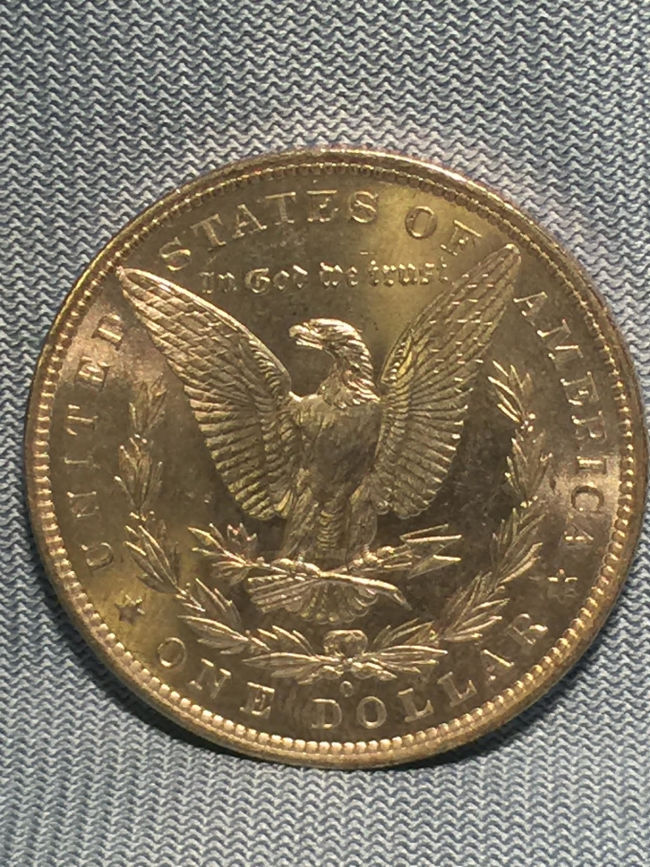 1881-O-Morgan---Grade-And-VAM-Help-Please