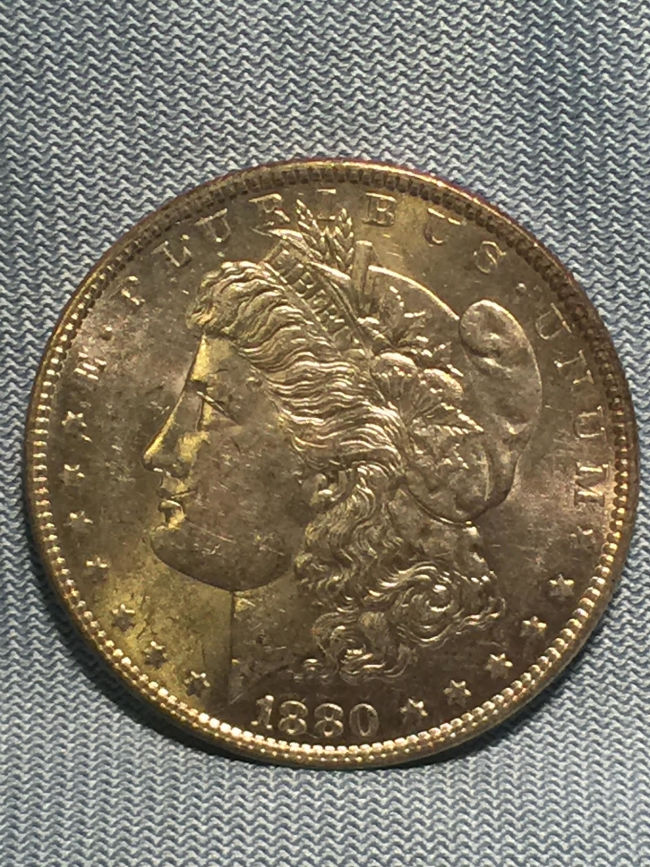 1880-O-Morgan---Grade-And-VAM-Help-Please
