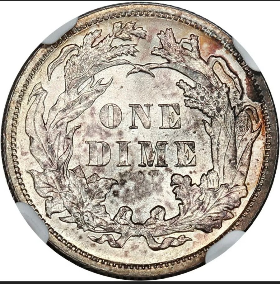 1888-Liberty-Seated-Dime---You-Vs-NGC---I-Have-Faith-In-You!