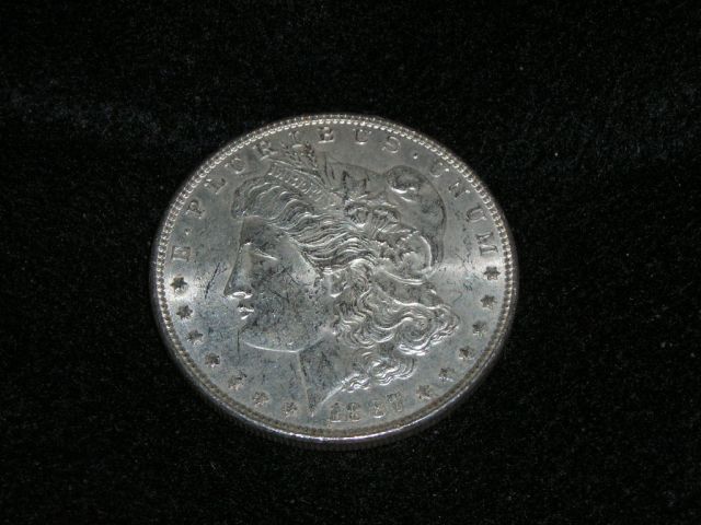 Image-Gallery-Raw-Morgans