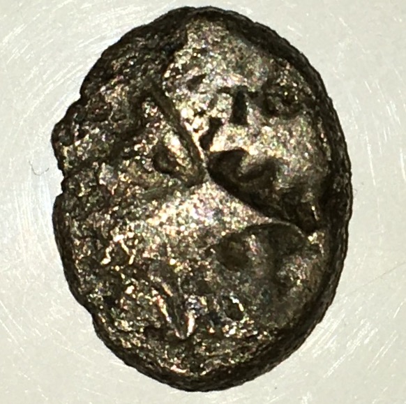 Maybe-A-Punch-Marked-Coin-From-India?